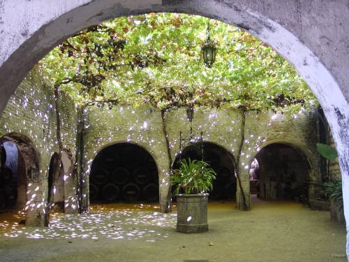 56- Une des tonnelles des caves Tio Pepe 